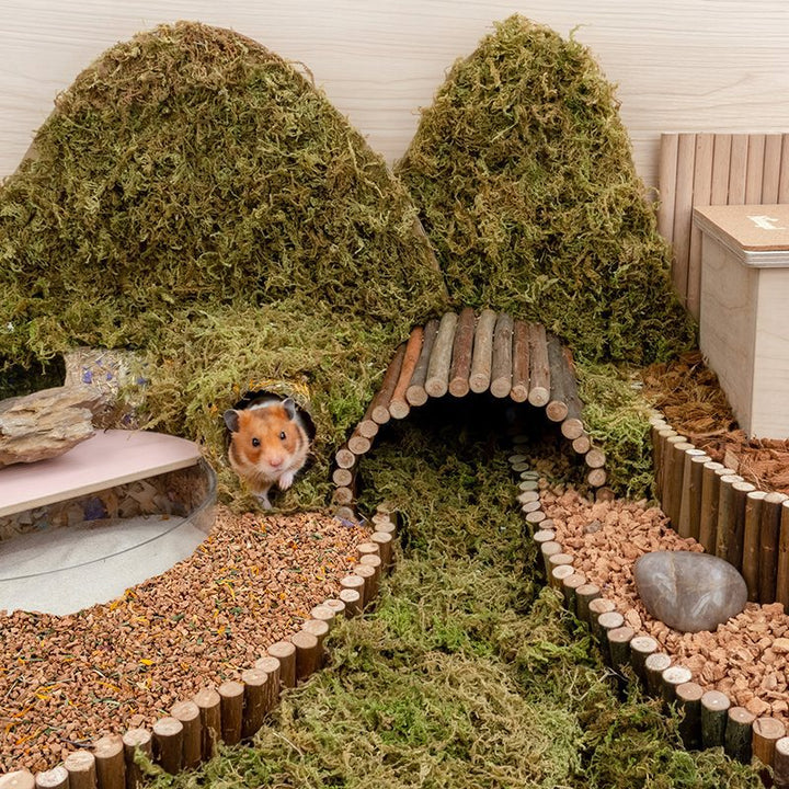 Transform Your Hamster's Habitat with Oak Cork Bedding